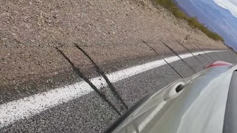 Coyote Chases Car in Death Valley