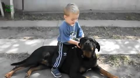 Funny baby fun with dog