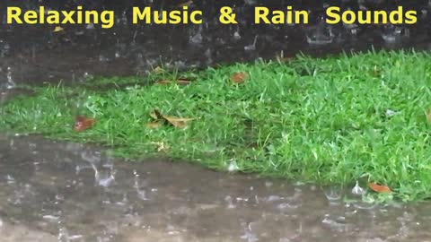 Relaxing Music & Rain Sounds - Beautiful Sleep Rain Music. Meditation Music Rain Sound - You & Me