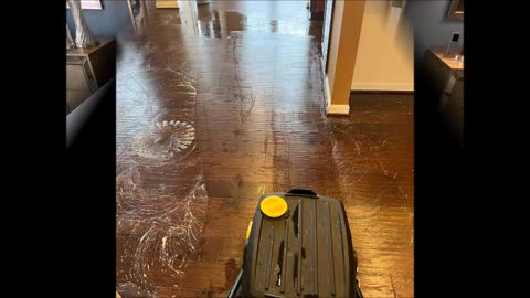 Spotless Carpet Cleaning - (703) 501-8845