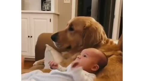 dog incredible smile with cute baby.