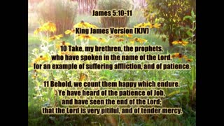 James 5.10-11 'Patience in the Wait' -- Dedicated2Jesus Daily Devotional Audio