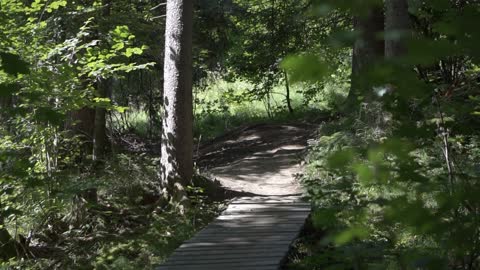 Bicycle and nature!!!