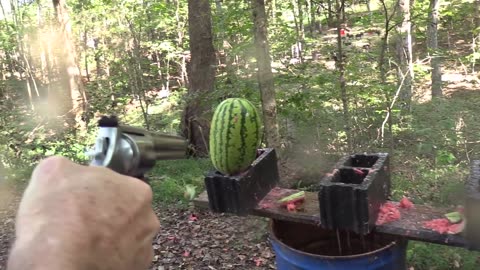460 Magnum vs Watermelons