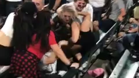 Chick brawl at a White Sox game!