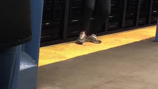 Man dances at the edge of subway station platform to guitar song