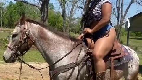 Lady Breaks Horses Back