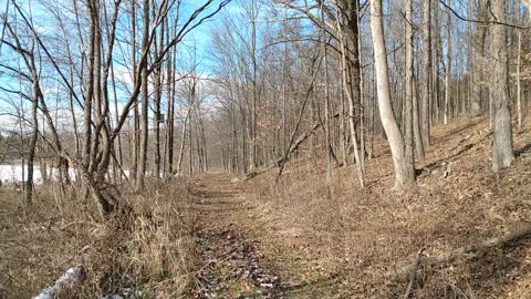 Walk on a pathway