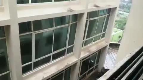 Cyclone Fani rips through windows of university campus in India
