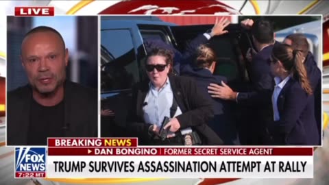 Dan Bongino reacts to assassination attempt on Trump