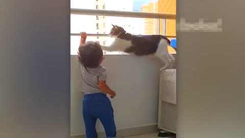 Animal helped human