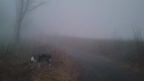 Foggy mountain top