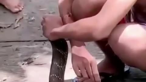 What to do when bitten by a snake