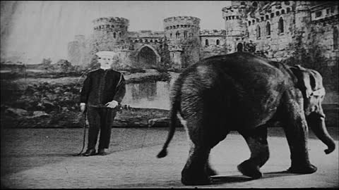 Elephant and Training Walk In Circle Onstage