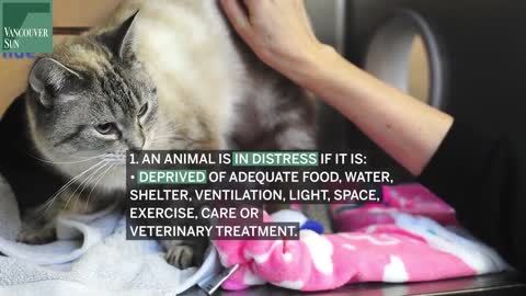 ANIMALS IN DISTRESS