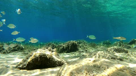 Greek island of Patmos Underwater