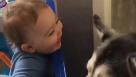 Funny dog and cute baby