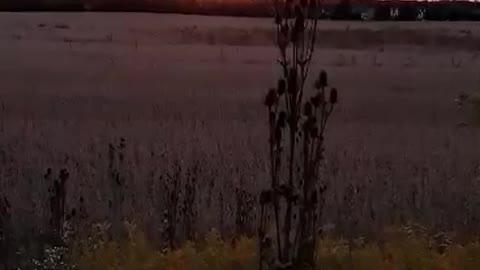 Illinois Prairie Sunset
