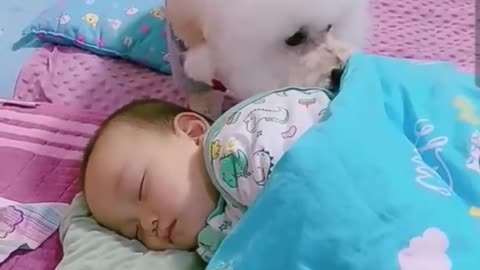 🐕🐕❤️❤️Most heartwarming & touching~ Cute Dog Takes Care Of Cute Baby😘😘