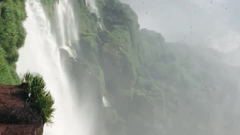 Amazing Waterfalls