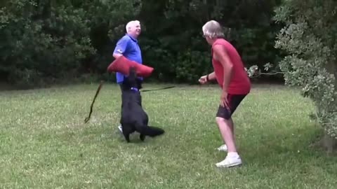 🐶Gentle Dogs Taught To Become Fully Aggressive With Few Cheap Tricks😲💯