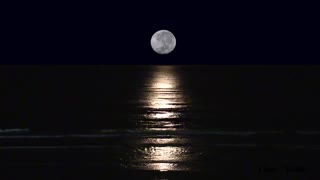 Relaxing surf sounds with Moonset over beach - one hour (some CAD included)