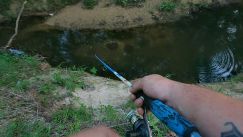 Catching a creek spotted bass