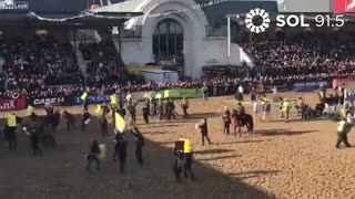 Vegan protesters disrupted at rodeo by cowboys