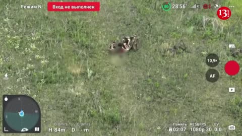 Russian soldiers evacuate their wounded soldiers in an open and mined area