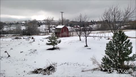 Graham Family Farm Report: Snow Mess