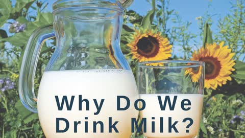 Why We Drink Raw Milk