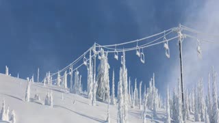 Skiing Paradise: Whitefish Mountain Resort Adventure!