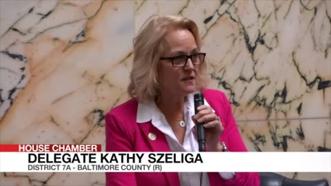 Maryland Delegate Kathy Szeliga: Convention of States Makes a LOT of Sense