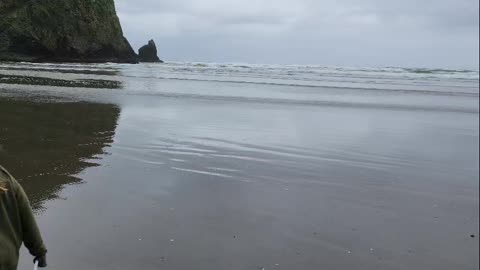 Canon Beach Oregon 2024