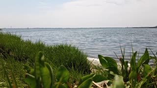 Peaceful Baldwin Harbor