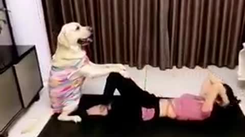 Doggy sweet exercise