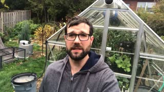Garden Vlog 1 - Greenhouse Tour & Pepper Harvest