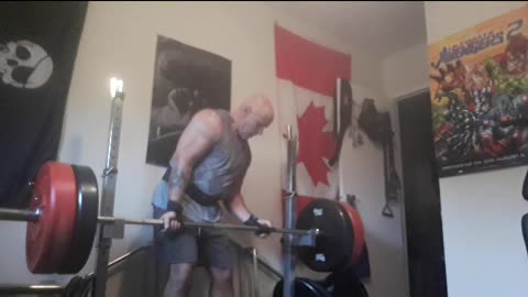 Barbell reverse grip row (set 15)