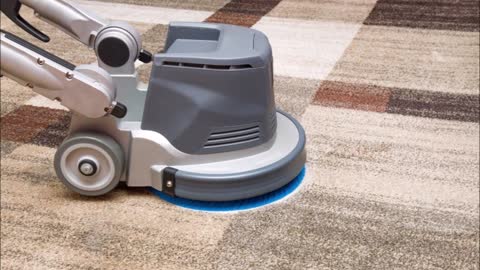 Carpet Cleaning and More by Odaine Sylvester - (908) 417-6366