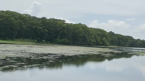 Florida Airboat