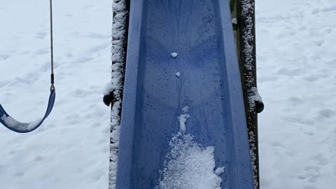 Curious Kitty Slips Off Snow Filled Slide