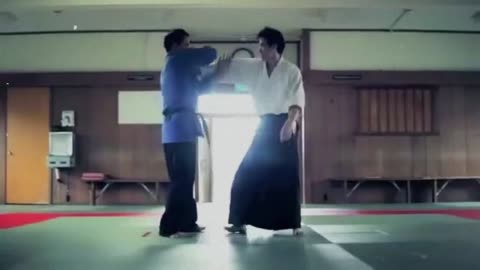 JIU JITSU VS AIKIDO BEST FIGHT MARTIAL ARTS | BEST FIGHT UFC MMA KO