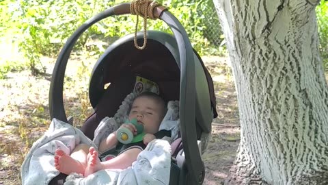 Baby Sleeps Under Garden Tree