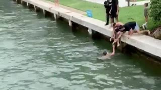 Man Leaps into River to Save Struggling Doggo