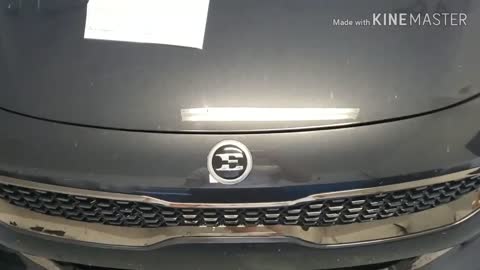 Kia Stinger GT - How NOT to remove car emblem and use touch up paint!!