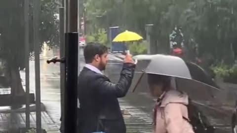 Rain umbrella 🌂| Raining umbrella