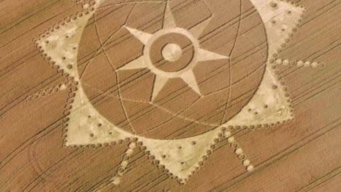 DESCOBERTOS CROP CIRCLES com mensagem DA VOLTA DOS ANUNNAKIS e DIAGRAMAS PARA ENERGIA LIVRE