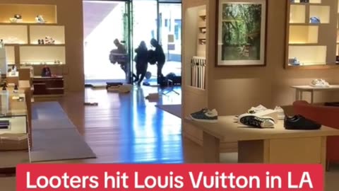 They robbed a louis Vuitton store in broad day light