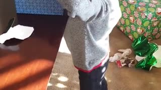 Kid gets pranked with canned foods for Christmas