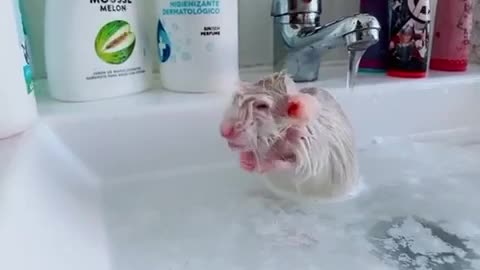 you need to wash yourself in time red🐭